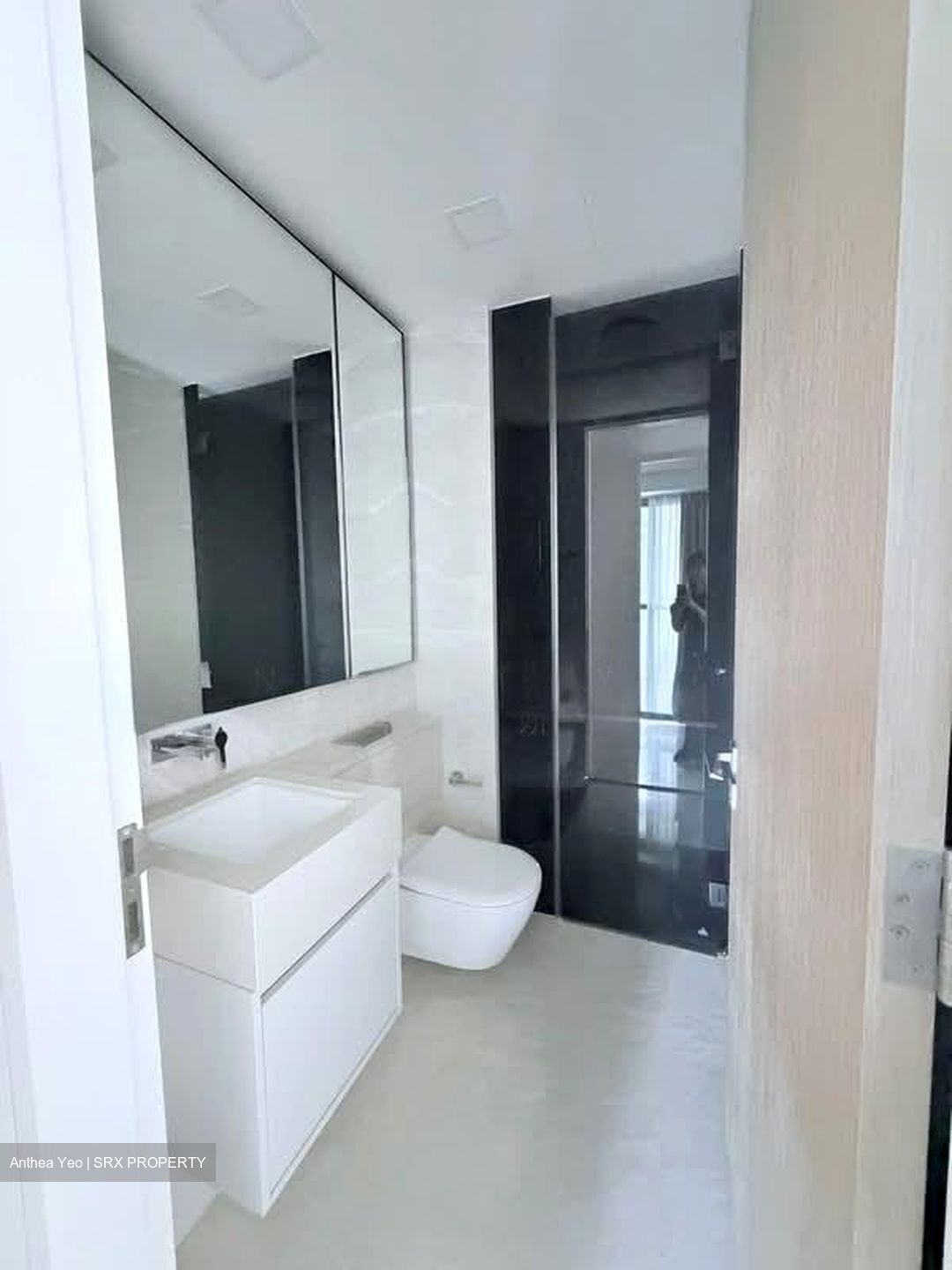 Amber Park (D15), Condominium #583900071
